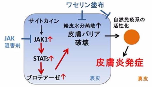2016年Facebookでシェアされた話題