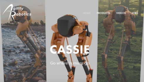  cassie 1