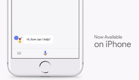 assistant 1