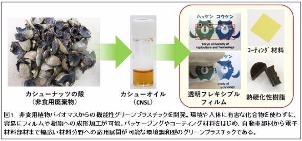 カシューナッツの殻からプラスチック