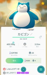 被るカビゴン