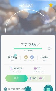 姿を見せないプテラ