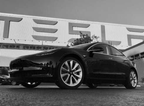  elon 1