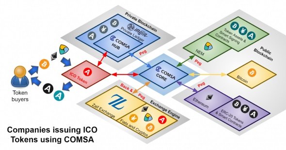 COMSAの概略図
