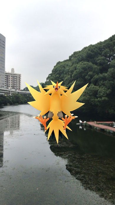 サンダー