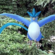 フリーザー