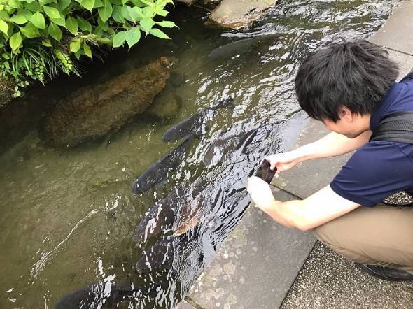 頭の固い上司