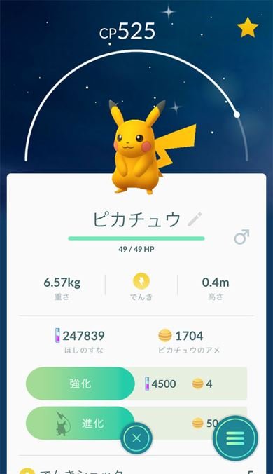 ライチュウ