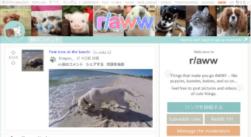  reddit 1