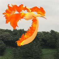 ファイヤー