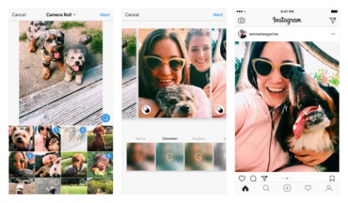  instagram