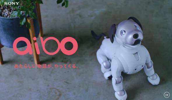 クマ型ロボット
