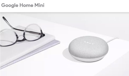  Google Home Mini