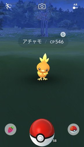 ホウエン地方のポケモン「アチャモ」