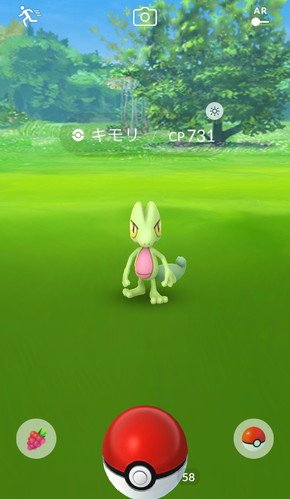 ホウエン地方のポケモン「キモリ」