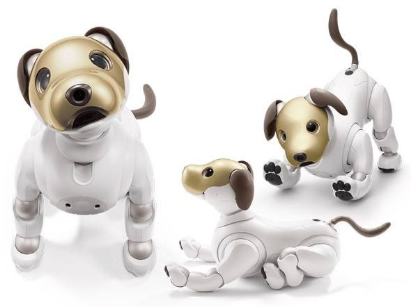 ソニー「aibo」金色モデル