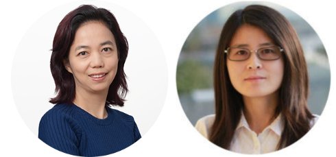  feifei 2