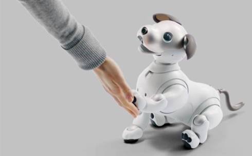 aibo
