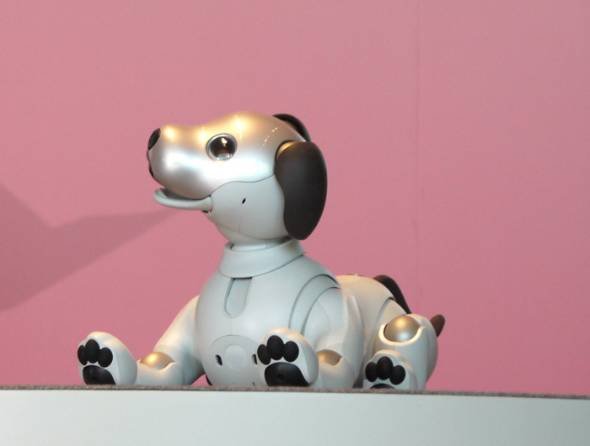 aibo Birthday Ceremony