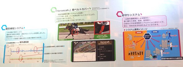 活用