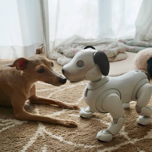 ソニーの「aibo」（アイボ）