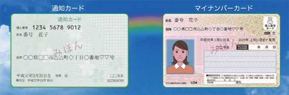 マイナンバー