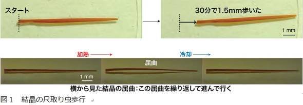 ロボット結晶