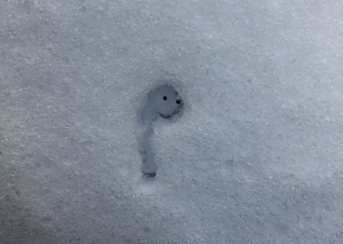  airpods 2