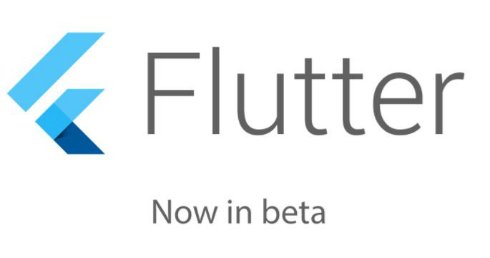  flutter 1