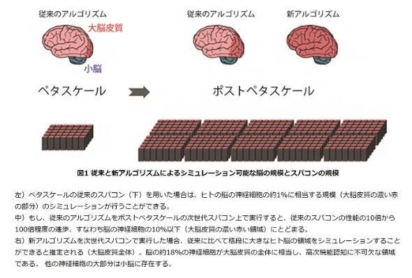 理化学研究所