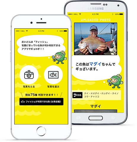 魚