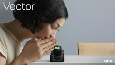  vector 2