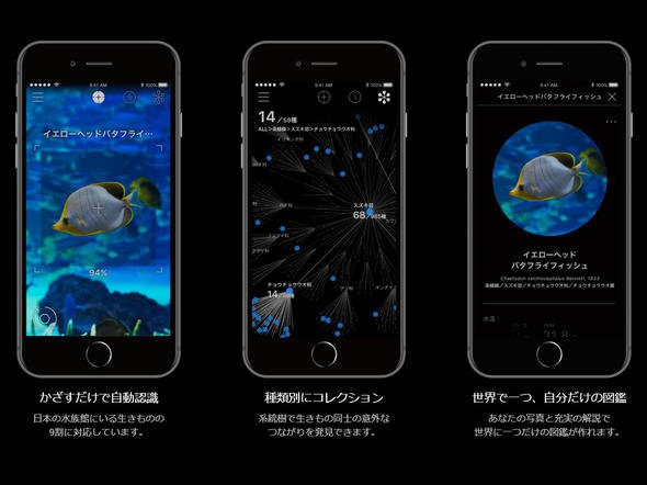 生き物