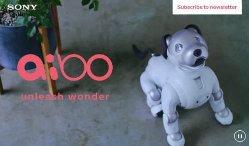  aibo 1