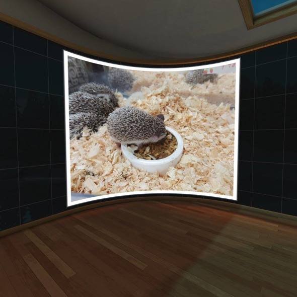 VR