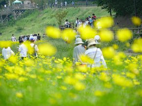 くりはま花の国
