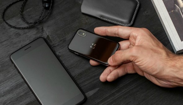  palm 1 