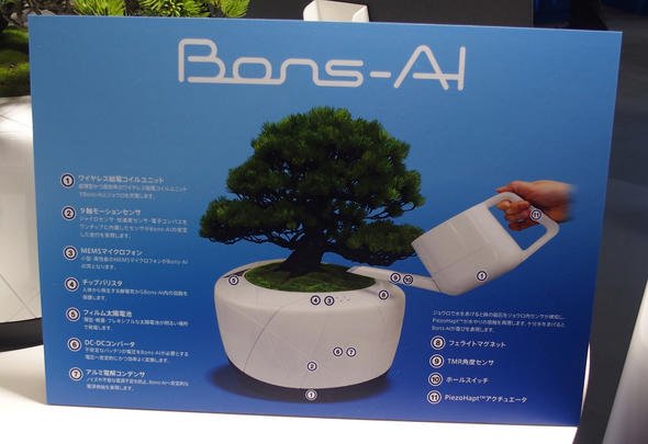 盆栽