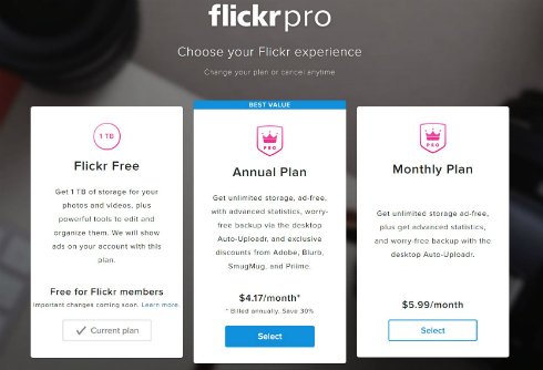  flickr 2