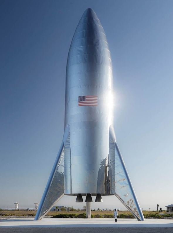  elon