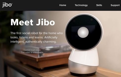 jibo 1
