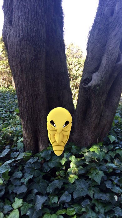 ポケモン