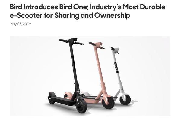  bird 1