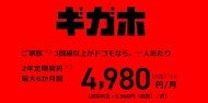 最安時の月額料金