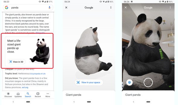  panda