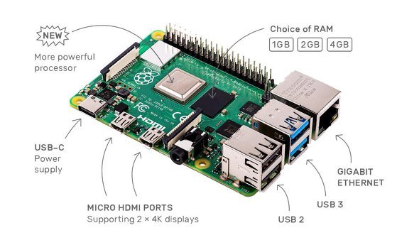  raspberry 1