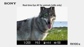 リアルタイム瞳AF