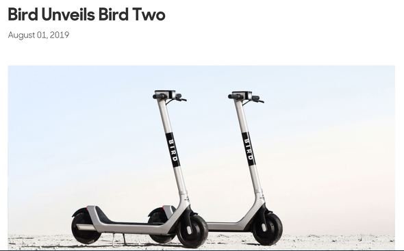  bird 1