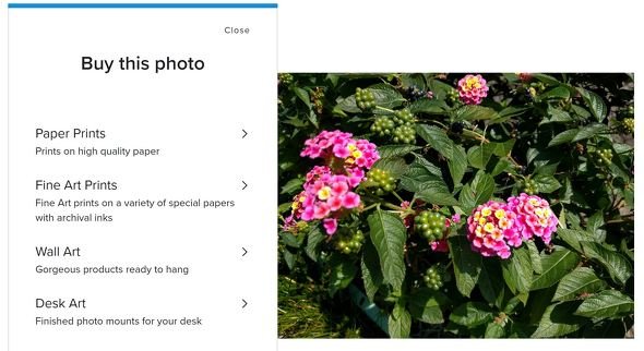  flickr 1