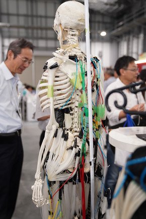 腹部にコンプレッサーがある